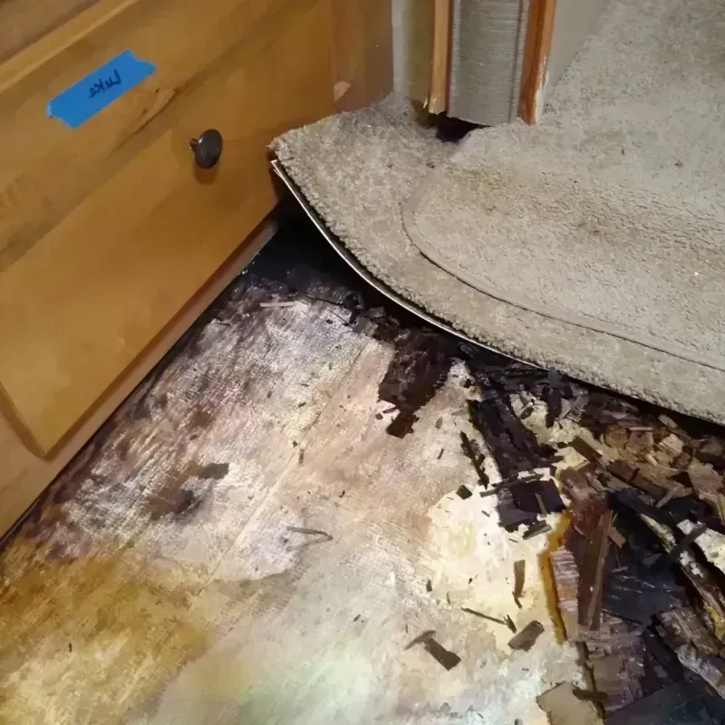 Wood Floor Water Damage in Jefferson, WI